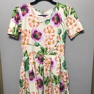LulaRoe Amelia dress
